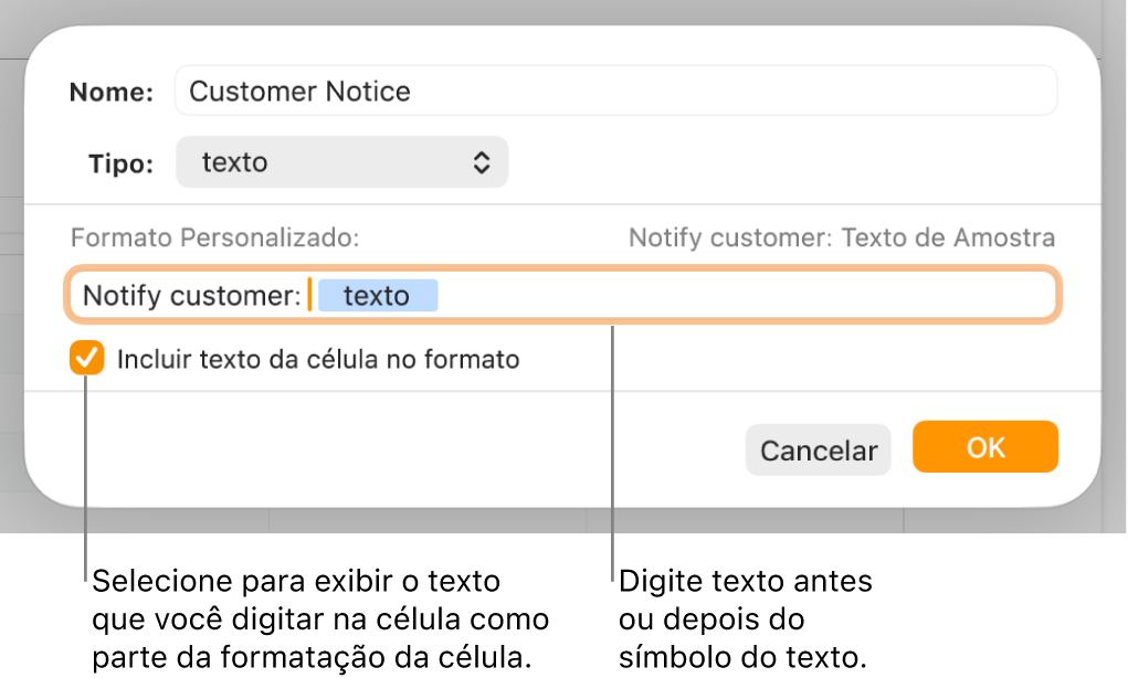 Janela de formato personalizado da célula, com controles para escolher formatação de texto personalizada.