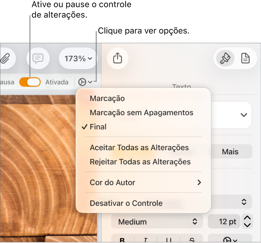 Menu de opções de controle mostrando Desativar o Controle na parte inferior e balões explicativos para os botões “Ativar o Controle” e Em pausa.