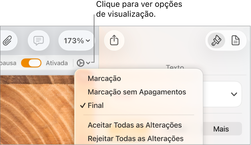O menu de opções de revisão mostrando Marcação, Marcação Sem Exclusão e Final.