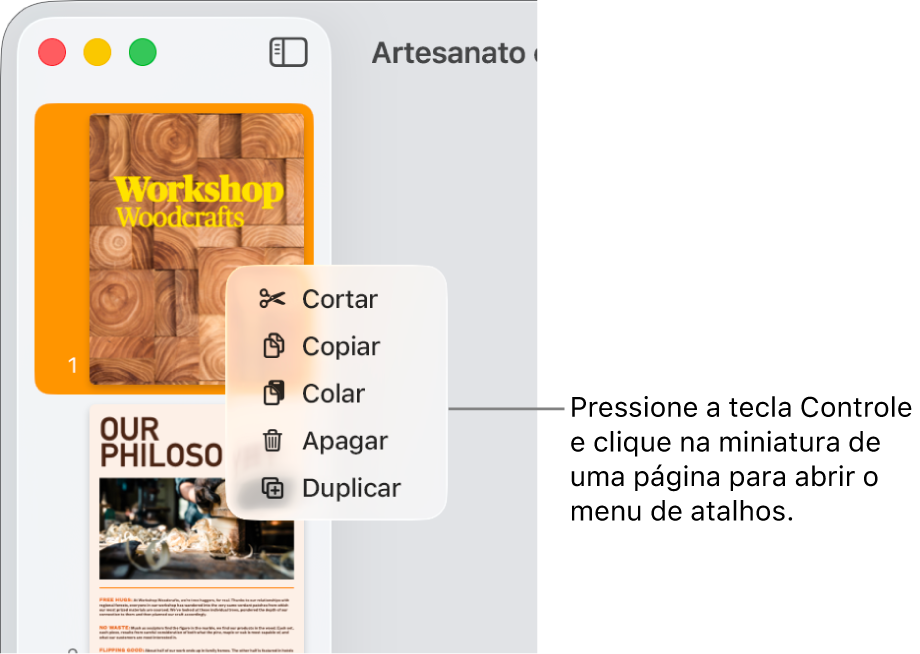 Visualização de Miniaturas de Página, com uma miniatura selecionada e o menu de atalho aberto.