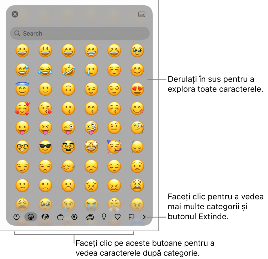 Observatorul de caractere afișând emojiuri, butoane pentru diferite categorii de simboluri în partea de jos și un buton pentru a afișa mai multe categorii și butonul Extinde.