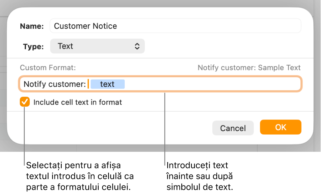 Fereastra de formatare personalizată a celulei, cu comenzi pentru alegerea formatării personalizate a textului.