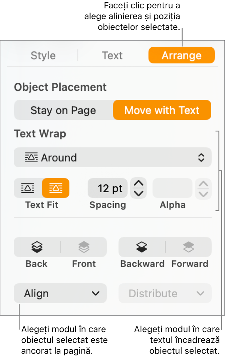 Meniul Format afișând bara laterală Aranjare. Configurările Amplasare obiect se află în partea de sus a barei laterale Aranjare și configurările Încadrare text sunt dedesubt.