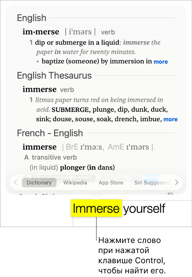 Абзац с выделенным словом и окно, в котором показано определение слова и статья толкового словаря. Кнопки внизу окна обеспечивают доступ к словарю, Википедии, предложенным Siri сайтам.