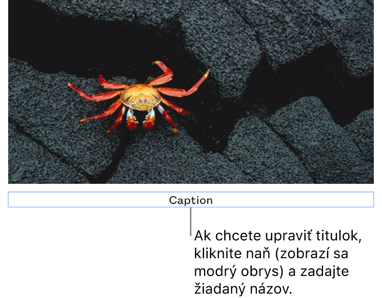 Pod fotkou sa zobrazí vzorový titulok „Titulok“. Okolo poľa titulku sa zobrazí modrý obrys, čo znamená, že je označený.