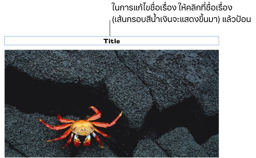 ชื่อเรื่องในช่องว่าง “ชื่อเรื่อง” แสดงขึ้นมาด้านล่างรูปภาพ โดยเส้นกรอบสีน้ำเงินรอบช่องชื่อเรื่องแสดงว่าถูกเลือก