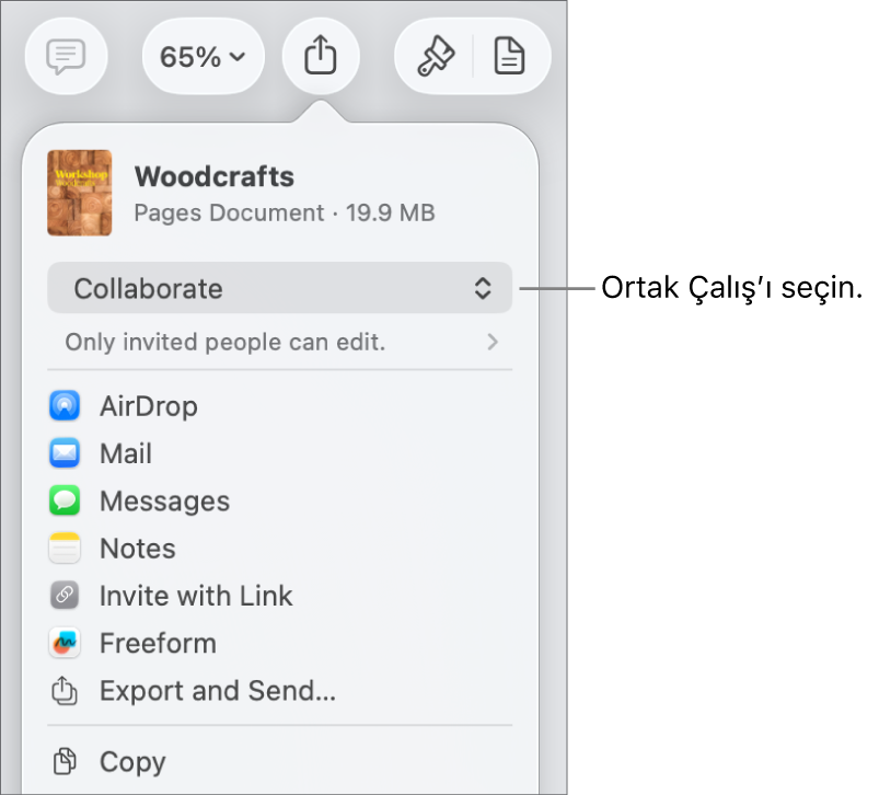 En üstte Ortak Çalış seçili olan Paylaş menüsü ve altında erişim ve izin ayarları.
