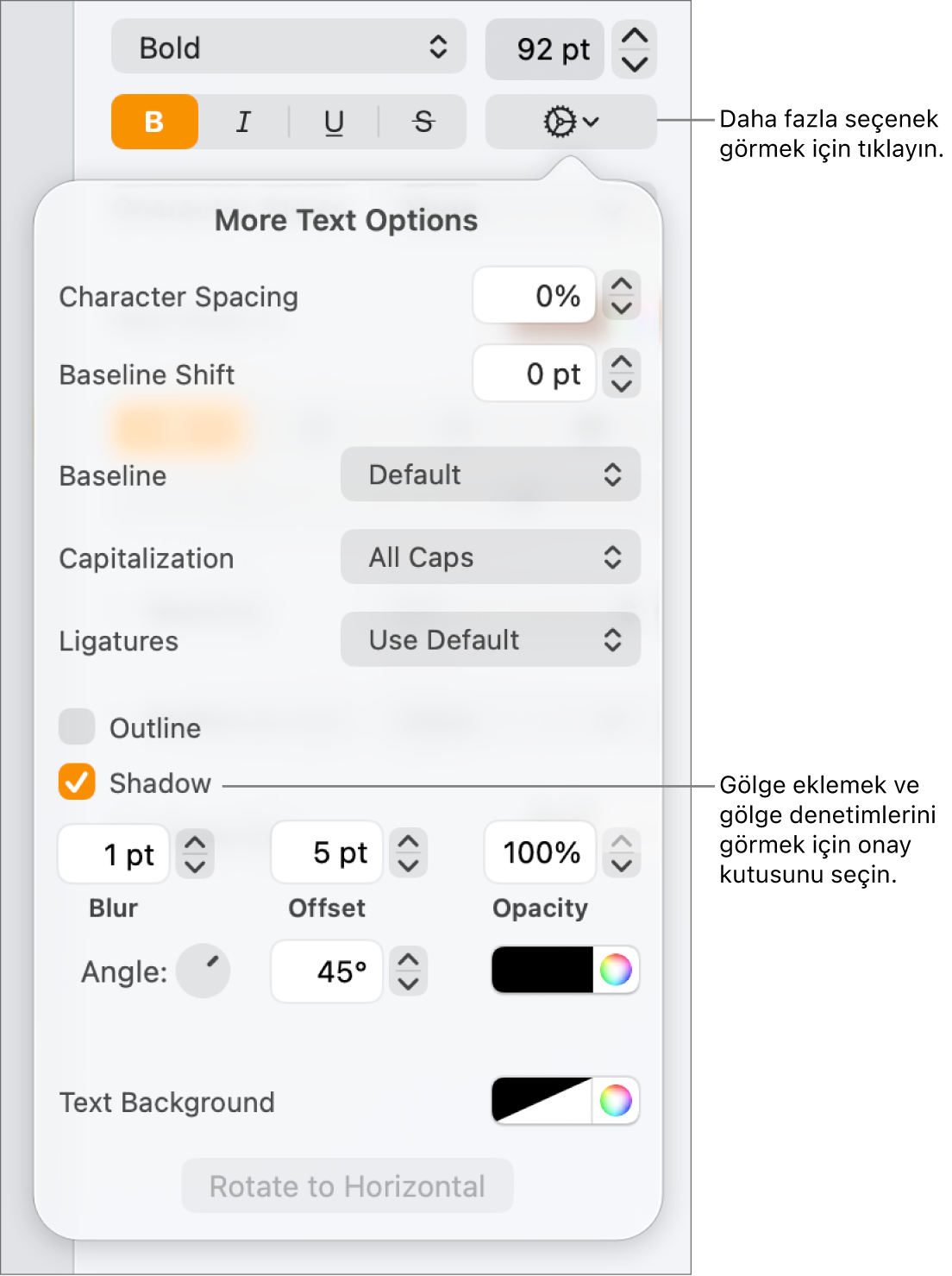 Bulanıklığı, uzaklığı, opaklığı, açıyı ve rengi ayarlama denetimleri ile İleri Düzey Seçenekler menüsü açık ve Gölgeler onay kutusu seçili.