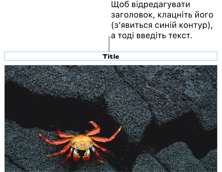 Зразок «Заголовок» відображається під фотографією, синій контур довкола поля заголовку вказує, що його вибрано.