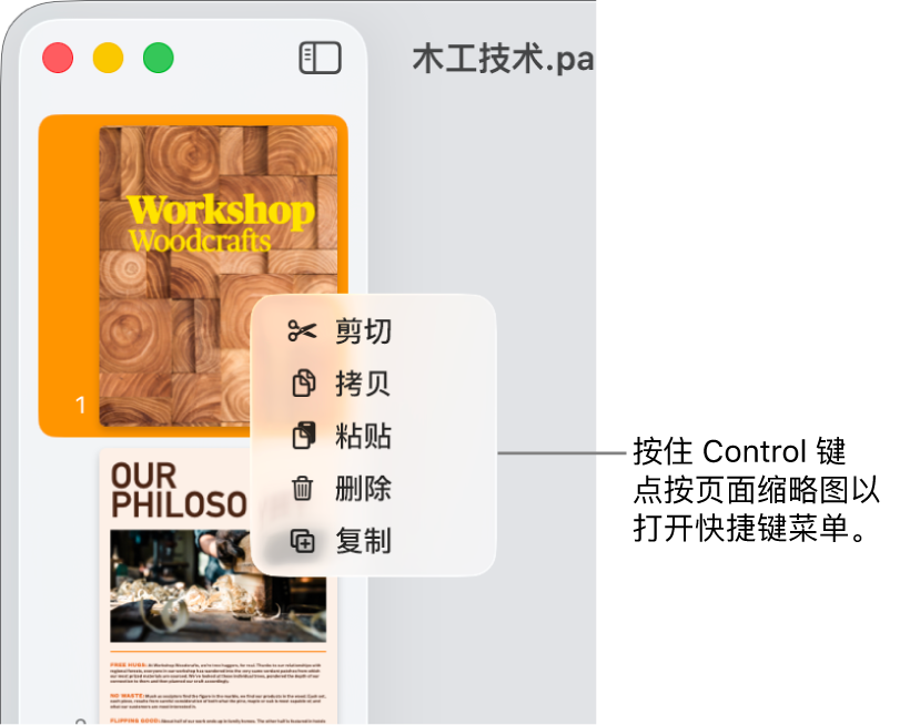 “页面缩略图”视图,其中一个缩略图被选中,快捷键菜单打开。