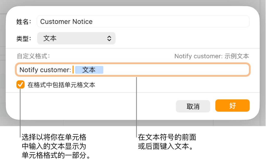自定义单元格式窗口,带有用于选取自定义文本格式的控制。
