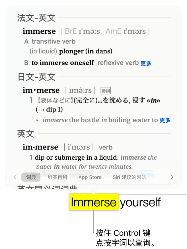 段落中高亮标记的字词，以及一个显示其定义和辞典条目的窗口。窗口底部的按钮提供前往词典、维基百科和 Siri 建议网站的链接。