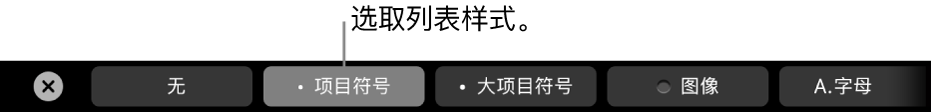 MacBook Pro 触控栏,包含选取列表样式的控制。