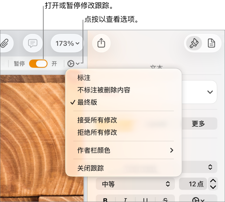 在底部显示“关闭跟踪”和显示“跟踪已打开”和“暂停”按钮矩形标注框的“跟踪”选项菜单。