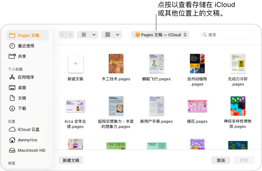 “打开”对话框，其中边栏在左侧打开，顶部弹出式菜单中已选定 iCloud 云盘。Pages 文稿文件夹显示在对话框中，还有一个“新建文稿”按钮。