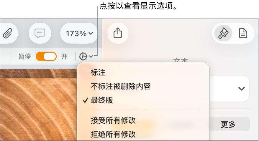 显示“标注”、“不标注被删除内容”和“最终版”的审阅选项菜单。