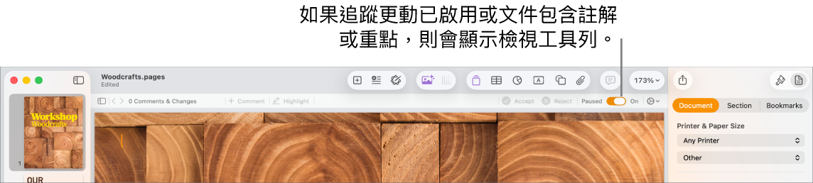 Pages 工具列開啟追蹤變更,Pages 工具列下方是複查工具列。