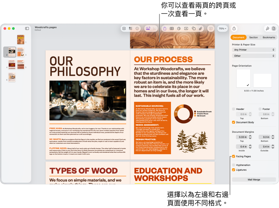 以兩頁全開頁面檢視的附有頁面縮圖之 Pages 視窗和文件頁面。在右側的「文件」側邊欄中，已取消選擇「左頁和右頁不同」剔選框。