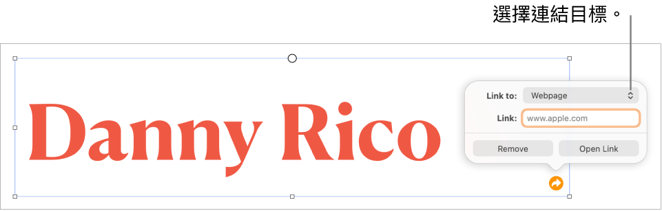 連結編輯器控制項目，其中已選取「網頁」，而「移除」和「開啟連結」按鈕則位於底部。