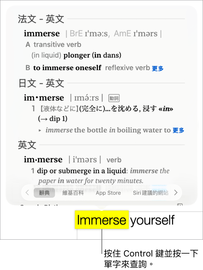 段落包含反白的單字，一個視窗顯示其定義和同義詞詞條。視窗底部的按鈕提供了字典、維基百科和 Siri 建議網站的連結。