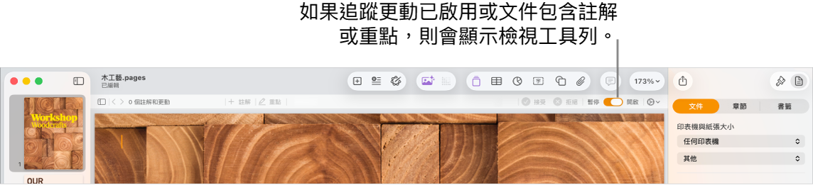 Pages 工具列開啟追蹤更動,Pages 工具列下方是複查工具列。