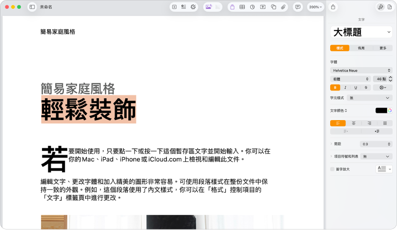 打開的文件顯示打開的格式側邊欄，並選取了文字標籤頁。