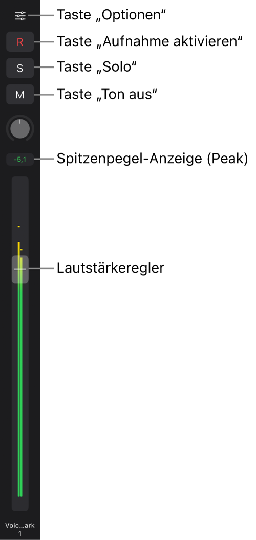 Abbildung. Fader mit den Tasten „Optionen“, „Aufnahme aktivieren“, „Solo“ und „Stumm“, dem Regler „Pan/Balance“, der Spitzenpegelanzeige und dem Lautstärkeregler.