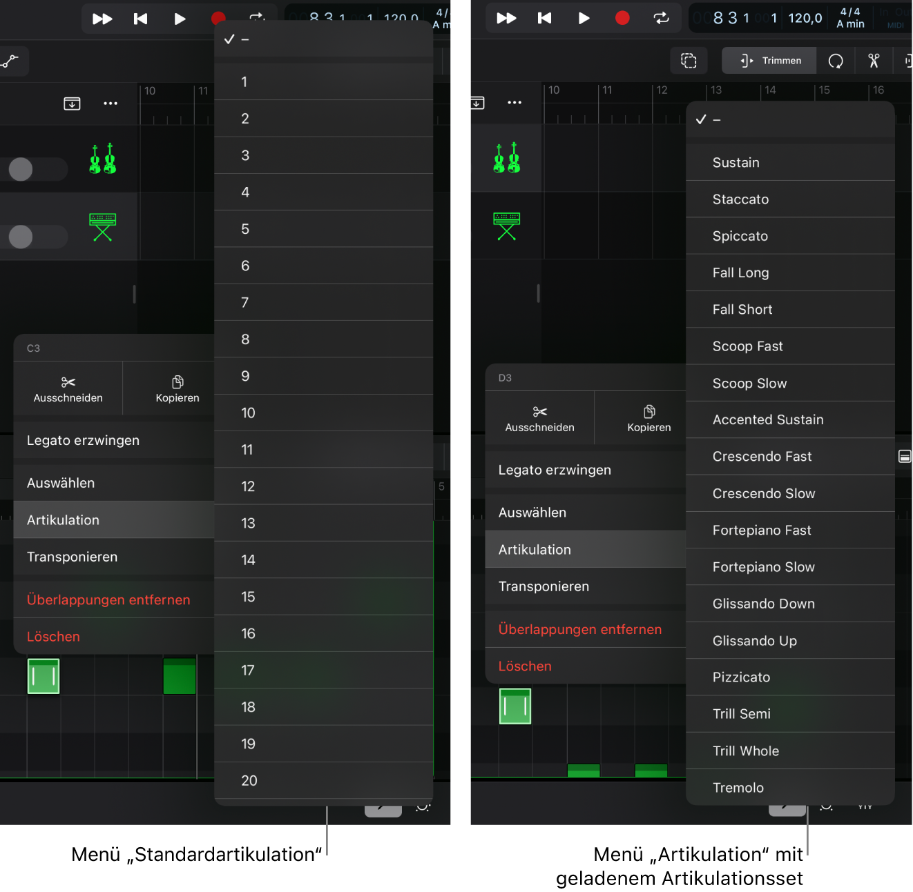 Abbildung. Artikulations-IDs.
