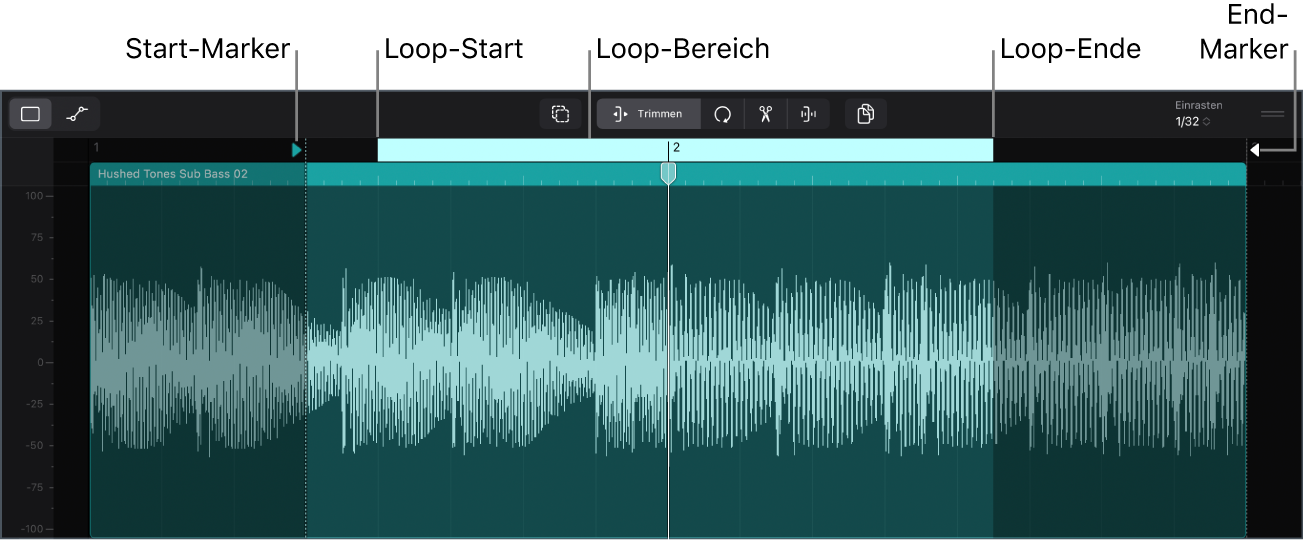 Abbildung. Im Zelleneditor geöffnete Audiozelle.