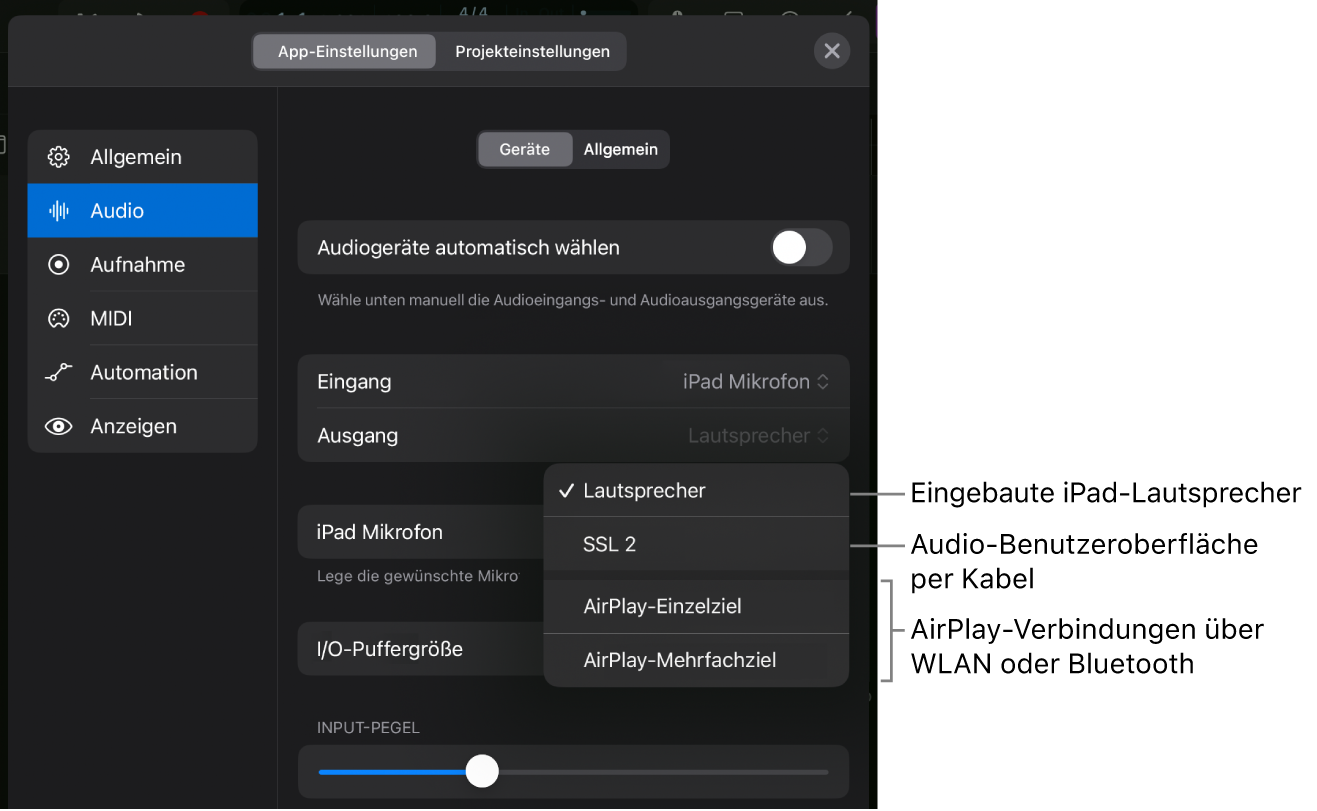 Abbildung. Das Dialogfenster „AirPlay“.