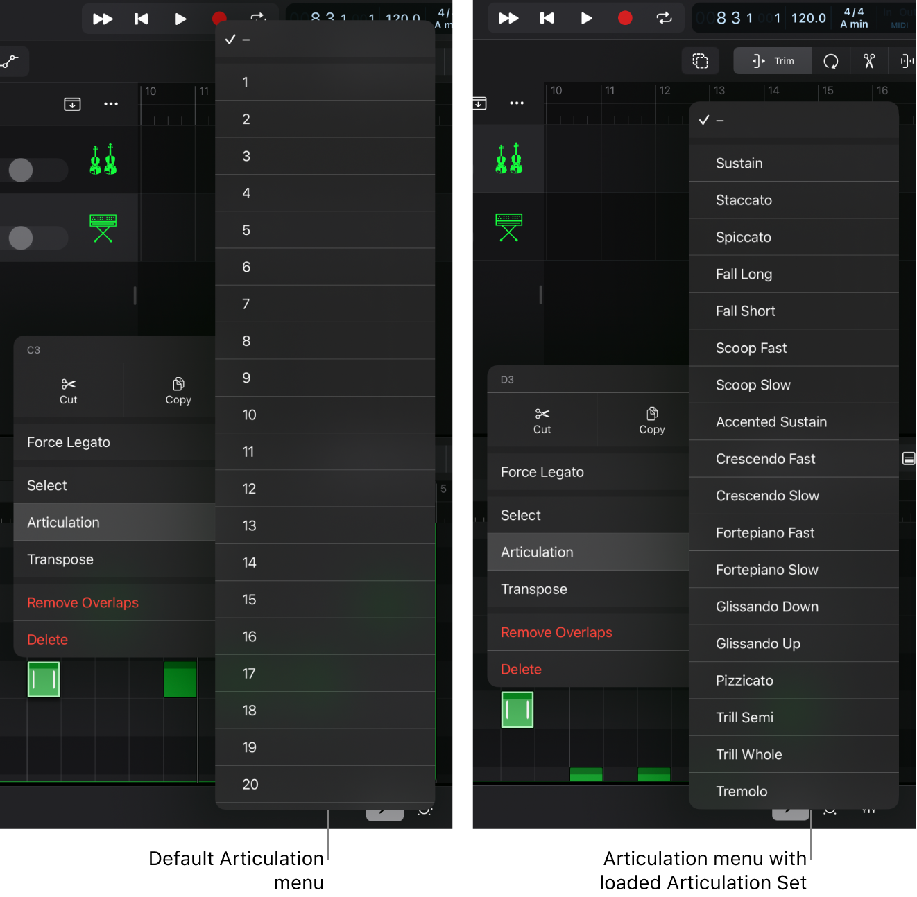 Figure. Articulation IDs.