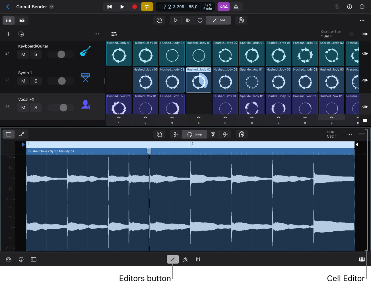 Figure. Cell Editor showing the audio waveform for the selected cell.