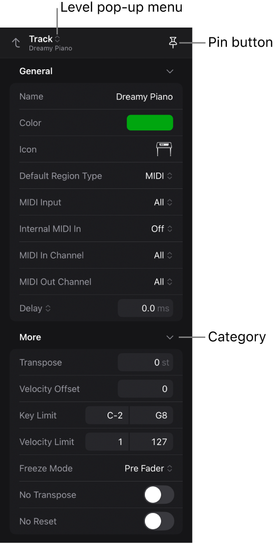 Figure. Inspector showing track parameters, Level pop-up menu, and Pin button.