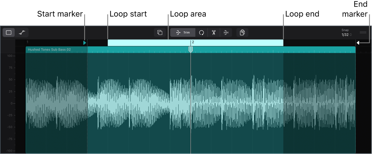 Figure. An audio cell open in the Cell Editor.