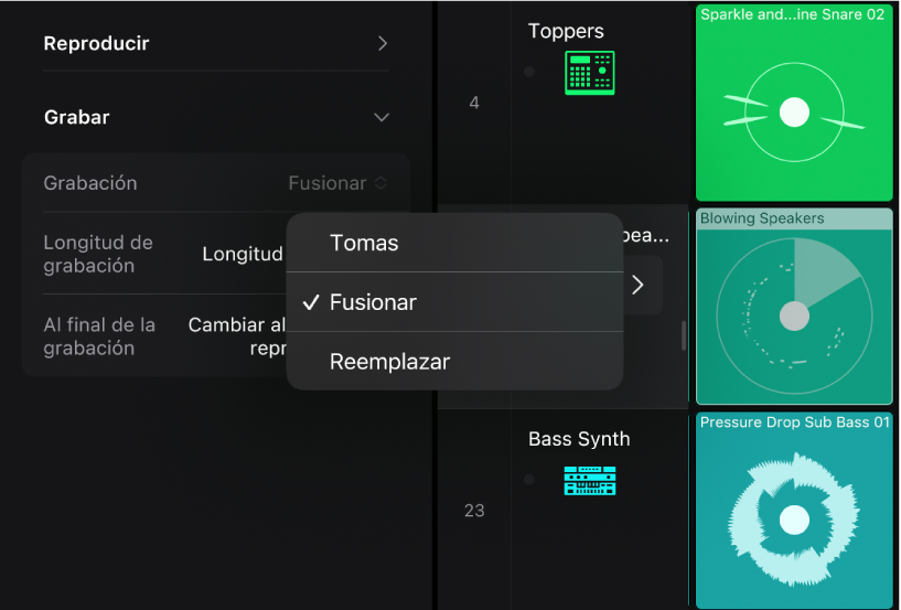 Ilustración. Ajuste de grabación en el inspector de celda con los modos de grabación.