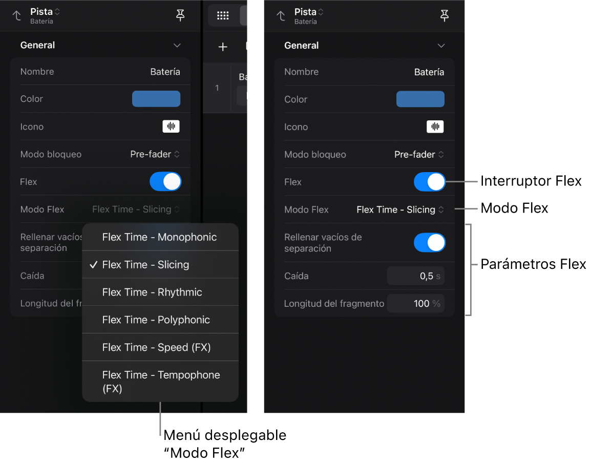 Ilustración. Inspector de pistas con los ajustes de Flex.