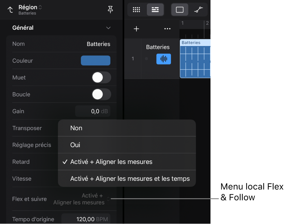 Figure. Inspecteur de région affichant le menu local « Flex et suivre ».