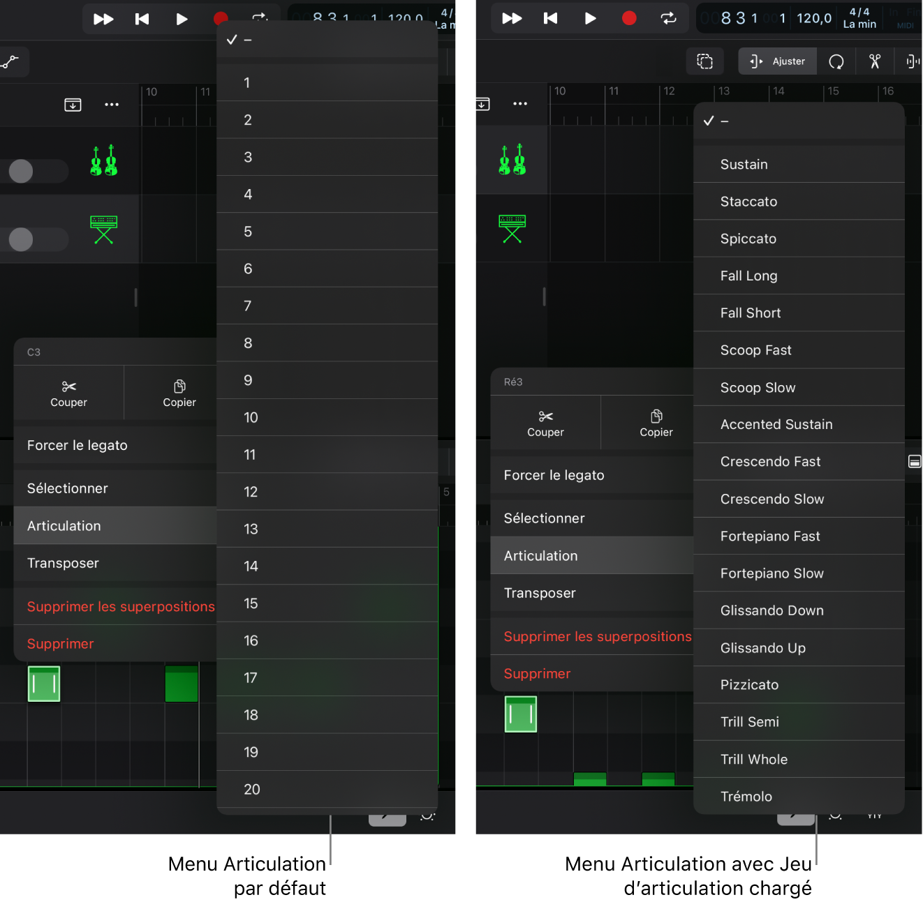 Figure. Identifiants d’articulation.