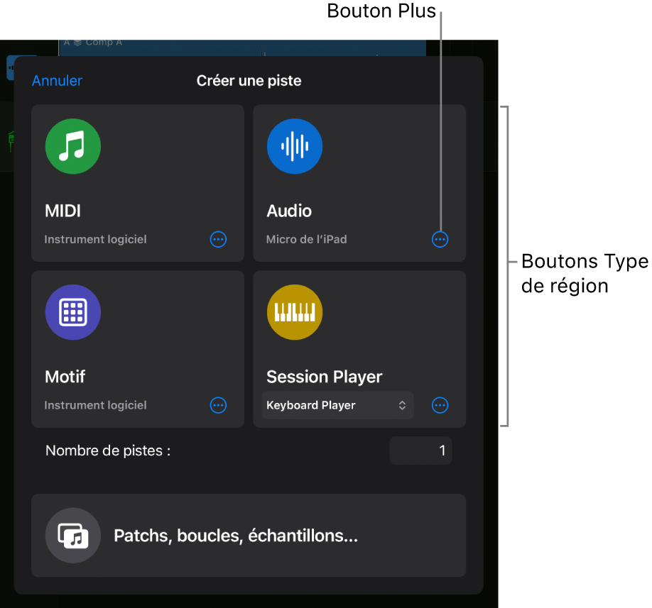 Figure. Zone de dialogue « Nouvelles pistes ».