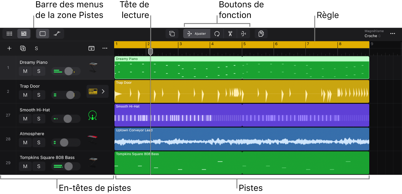 Figure. Zone Pistes affichant les pistes et en-têtes de pistes, la tête de lecture et la règle.