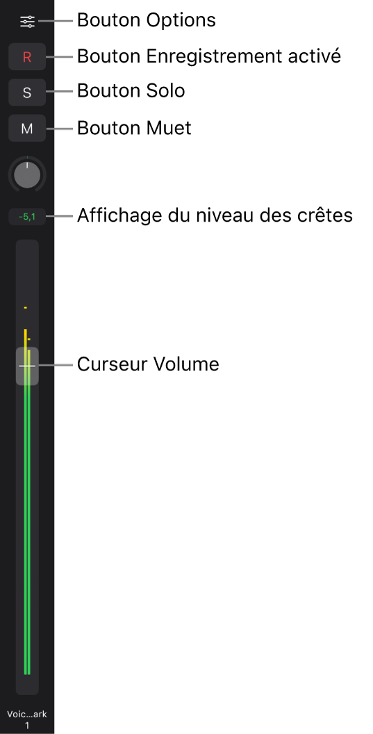 Figure. Curseur affichant le bouton Options, le bouton « Activer l'enregistrement », les boutons Solo et Muet, le potentiomètre Pan/Balance, l’affichage du niveau de crête et le curseur Volume.