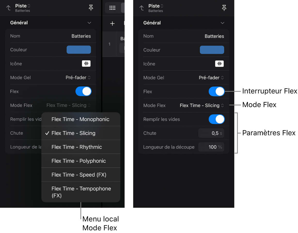 Figure. L’inspecteur de piste montrant les réglages Flex.