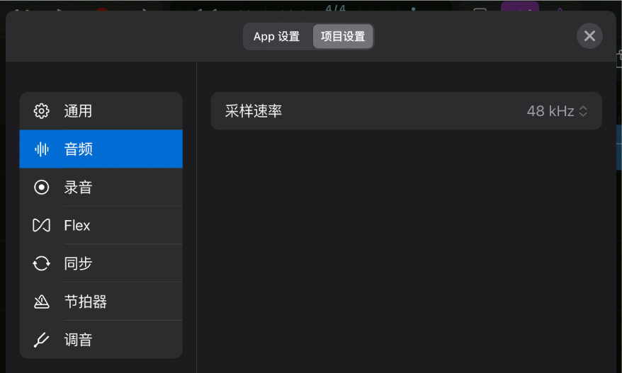 “音频”项目设置。