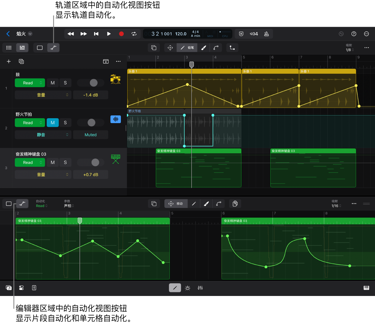 图。“自动化视图”按钮。