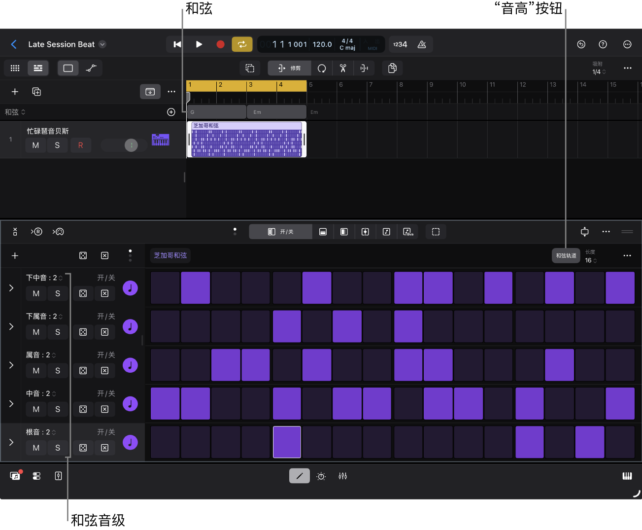 步进音序器的行标头显示和弦音级。
