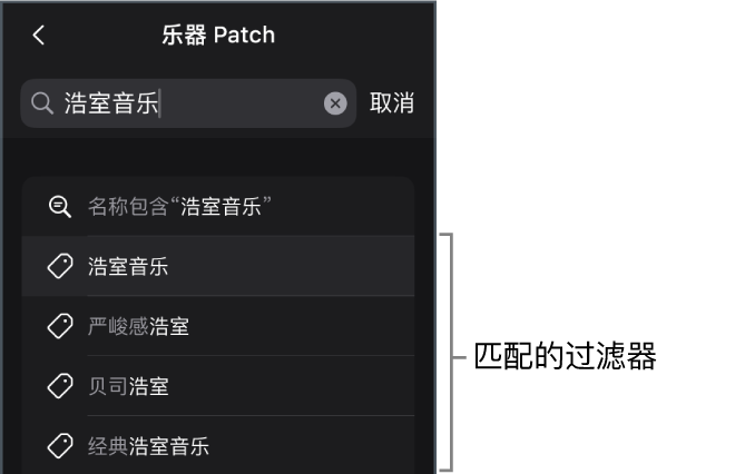图。浏览器的“乐器 Patch”视图中关键词“浩室”的建议搜索结果。