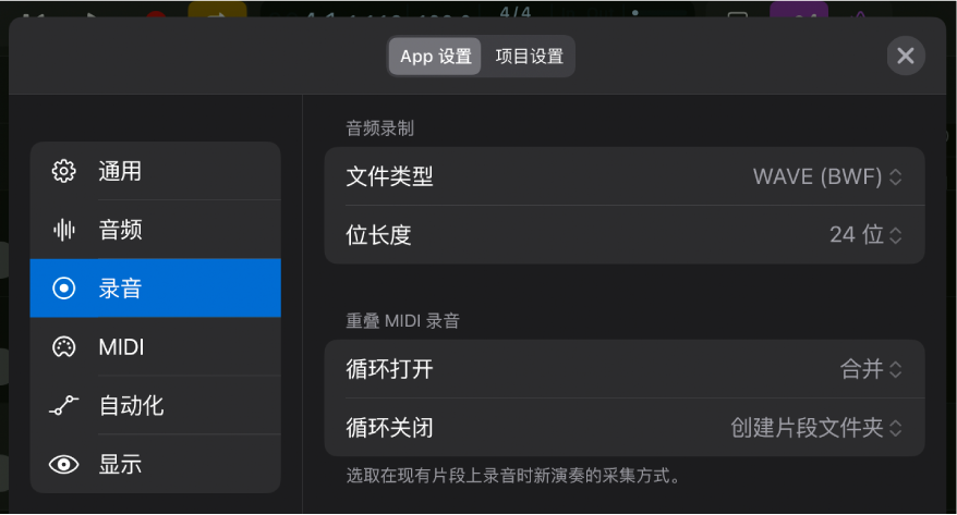 “录音”设置。