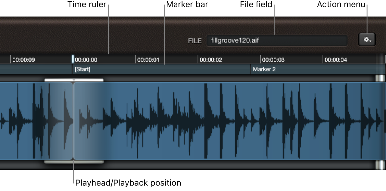 Figure. Waveform display, showing File field, ruler, and playhead.