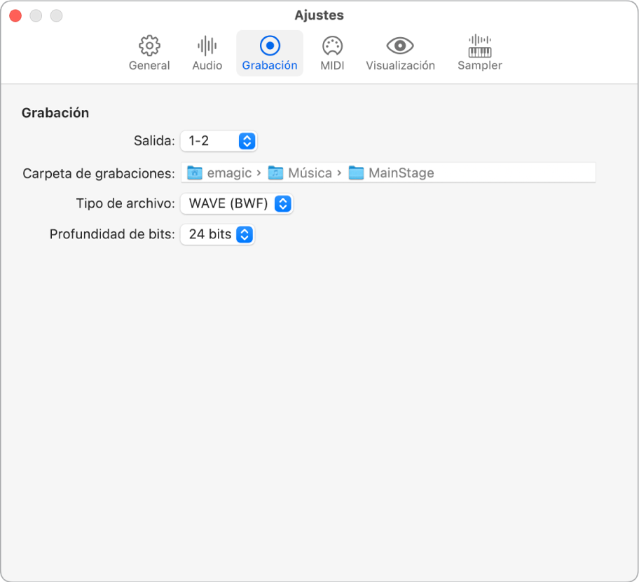 Ilustración. El panel de ajustes de grabación.