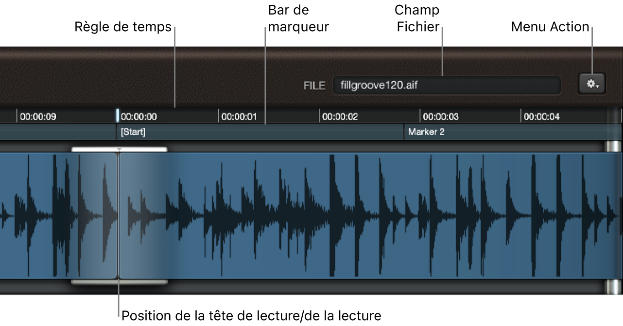 Figure. Affichage de forme d’onde avec champ Fichier, règle et tête de lecture.